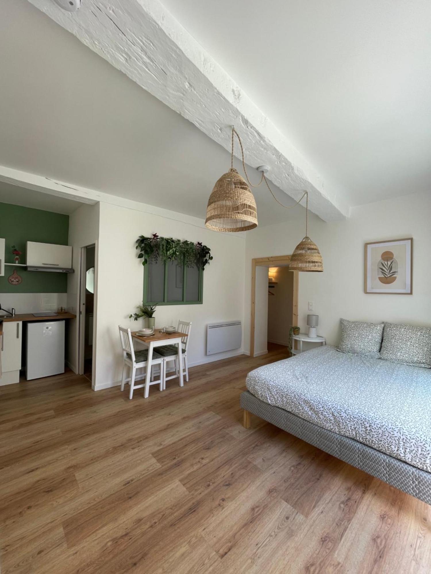 Appartement Chaleureux Blere Екстер'єр фото